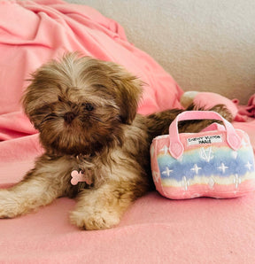 Chewy bag ombré