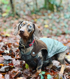 Quilted waterproof regenjas - jacht