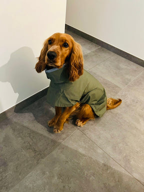 Dog Raincoat Lewis Olive - Limited Edition