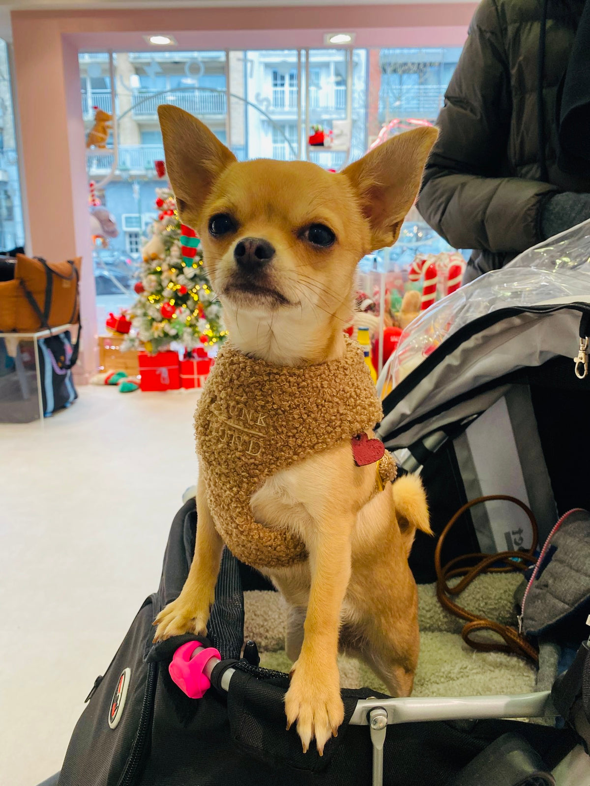 Autumn Collection - Soft Harness Teddy Nutmeg