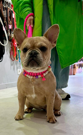 Neon Pink Classic collar - Green Biothane
