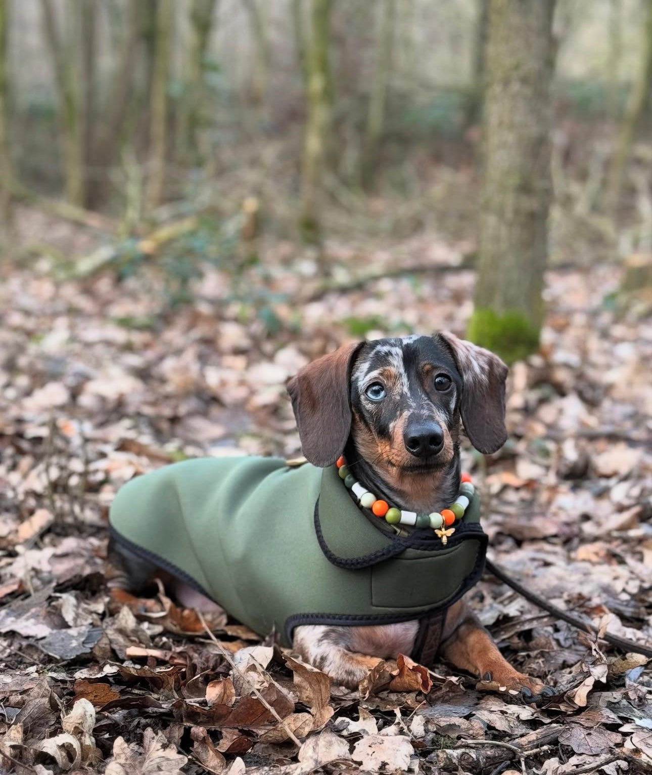 Anti-teken kralenband - Jinx