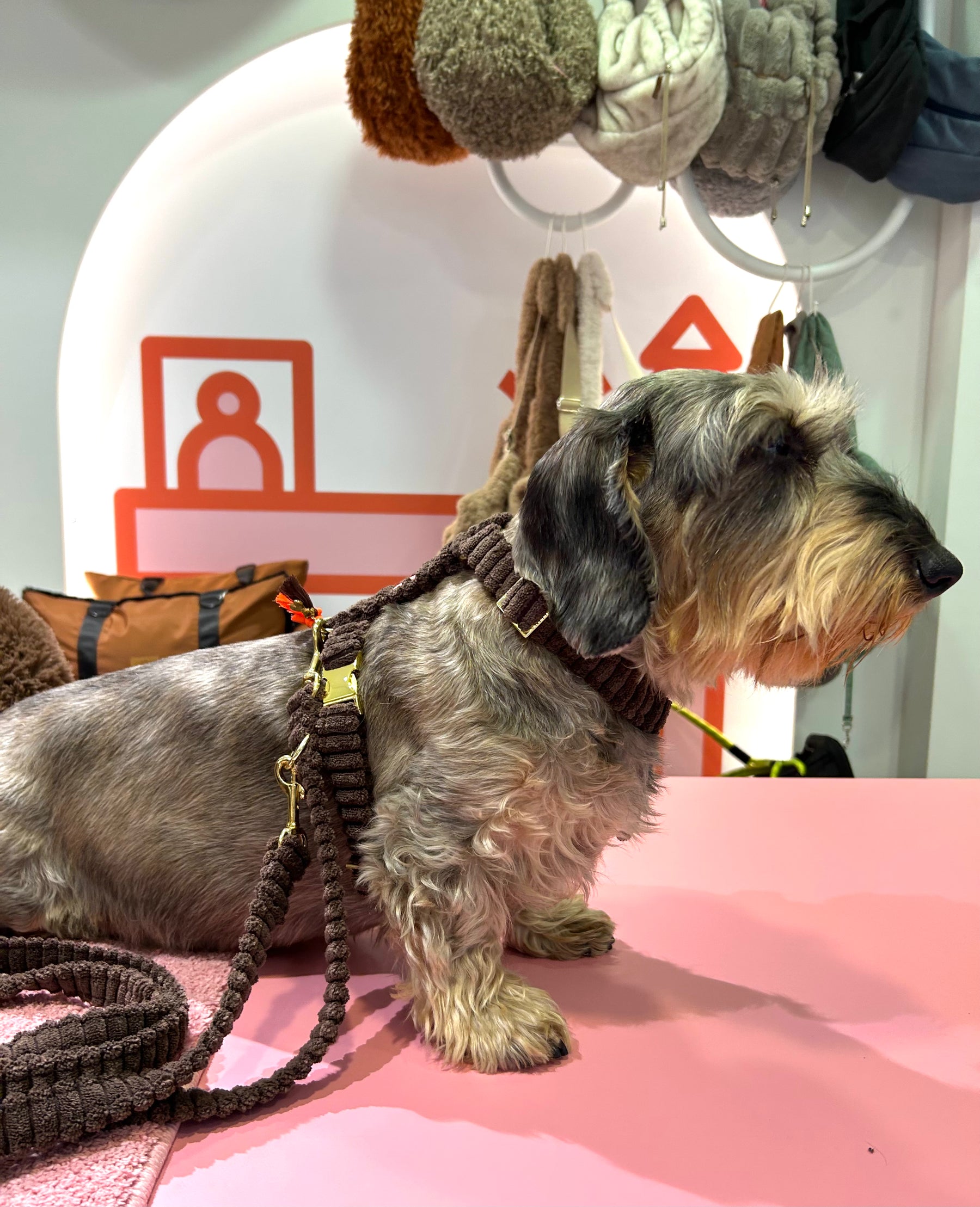 Fluffy Deluxe Geschirr braun