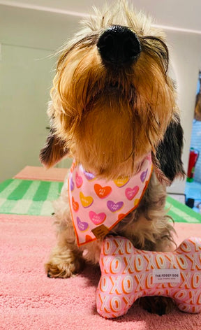 Candy Hearts bandana