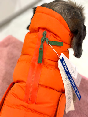 Alaska Burnt Orange - Dachshund Special