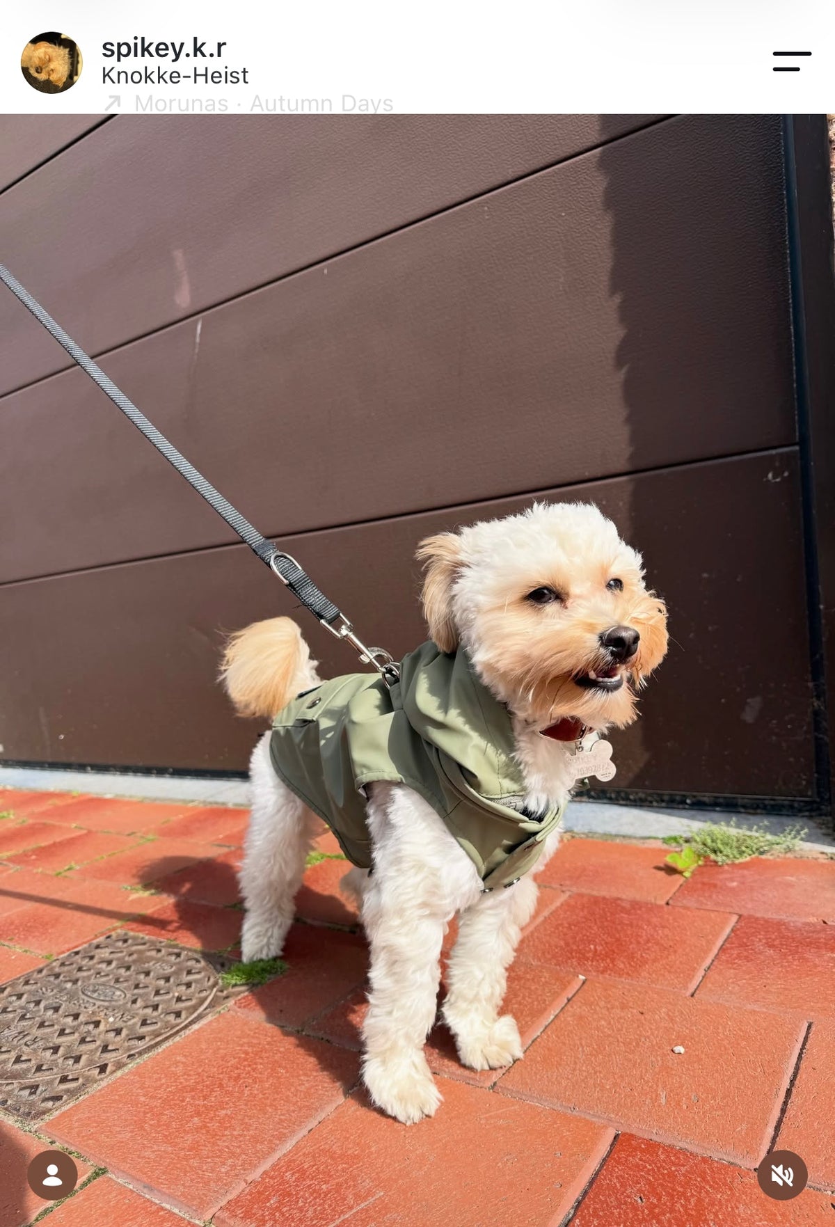 Imperméable Babord Olive