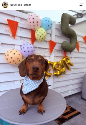 Gingham Sky bandana