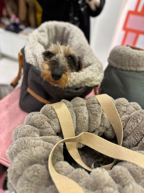 Carrier Dog.