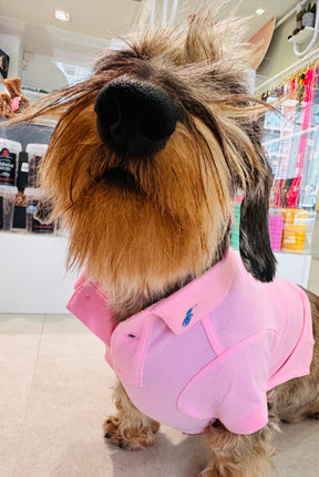 Ralph Lauren Polo Sweet Pink