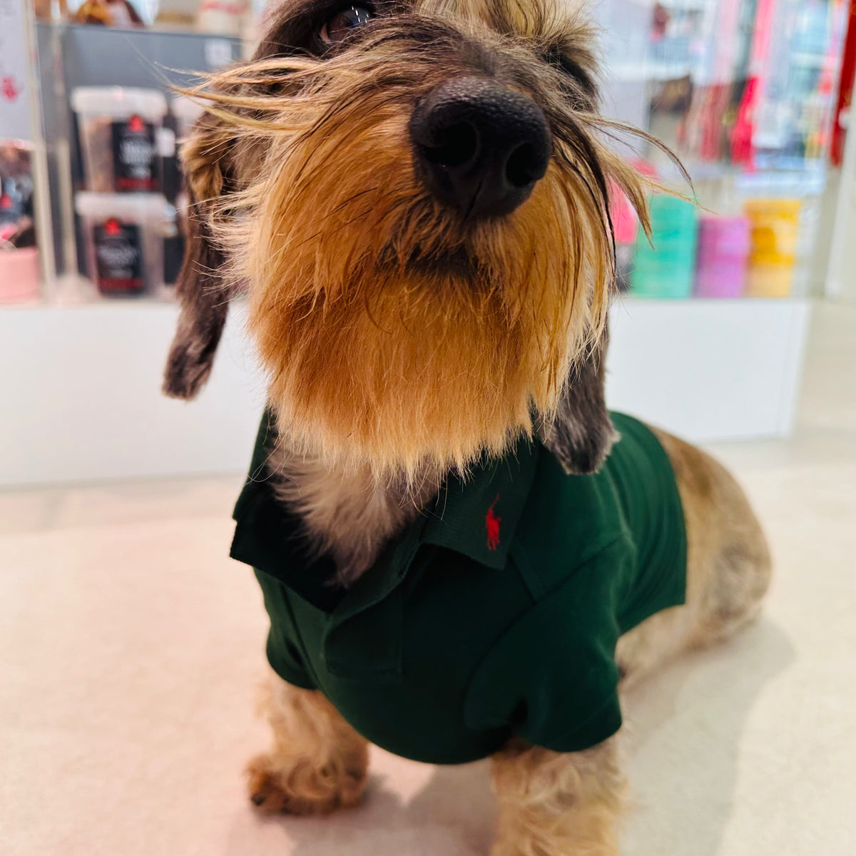 Ralph Lauren Polo College Green