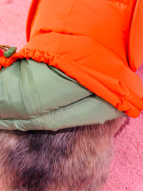 Alaska Burnt Orange - Dachshund Special
