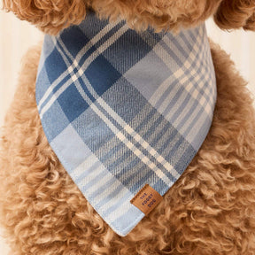 Hawthorne flannel bandana