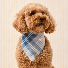 Hawthorne flannel bandana