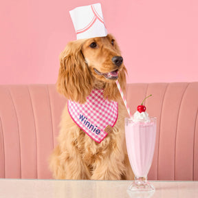 Gingham pink bandana