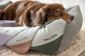 Stripe Lila