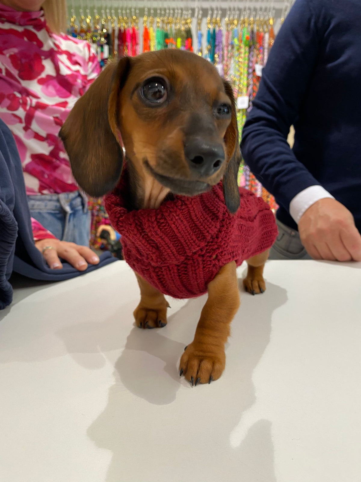 Royal Baroness Pullover