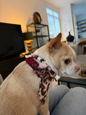 Lilly Burgundy Leopard collar