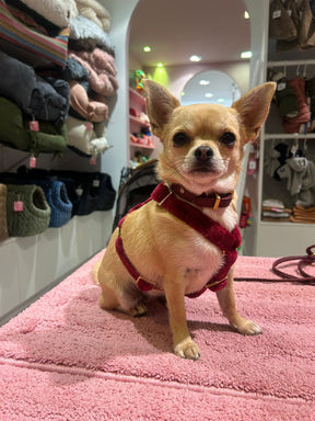 Cashmere harnas dark red