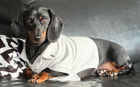 Ralph Lauren Polo Heather Gray