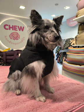 Armoif de chien Dublin Slate