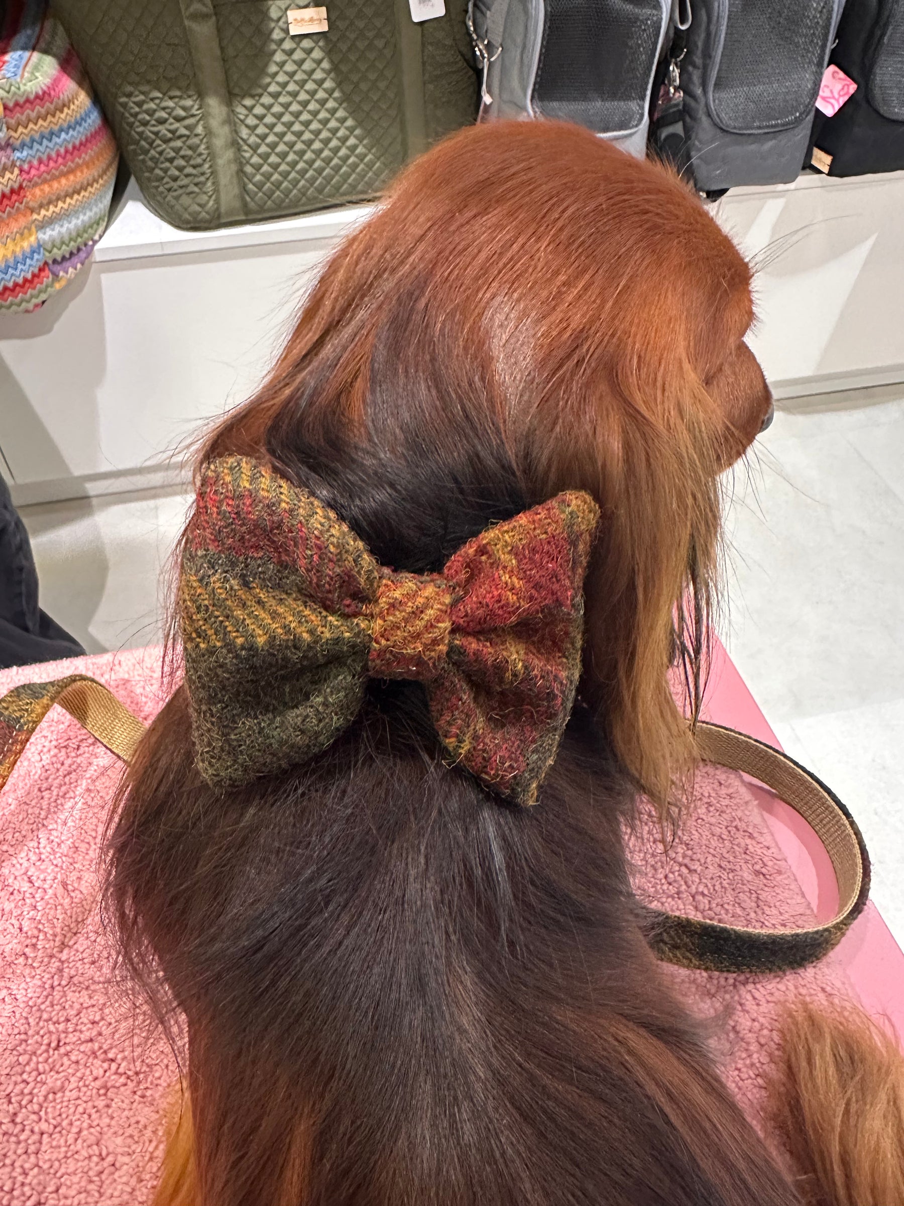 Set aus Tweed-Tartan in Kastanie und Senf