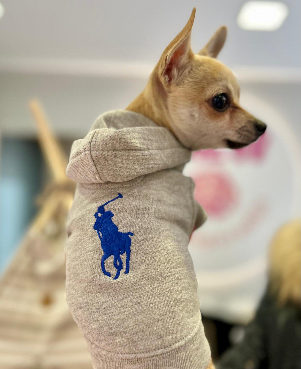 Grigio con cappuccio in pile di Ralph Lauren