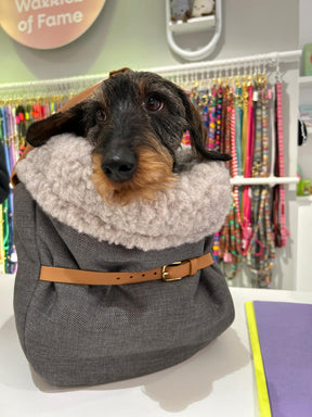 Carrier Dog.