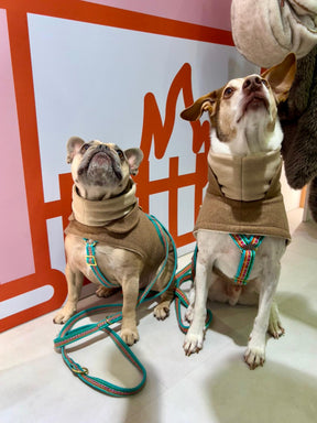 Flannel Beige - French Bulldog Special