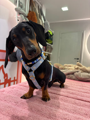 Anti-teken kralenband - Blue Lagoon