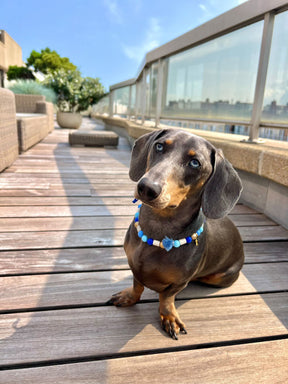 Anti-teken kralenband - Blue Lagoon