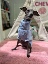 Classic Light Blue pull Italian Greyhound