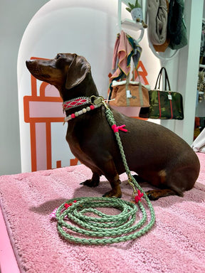Autumn Collection - Sage collar