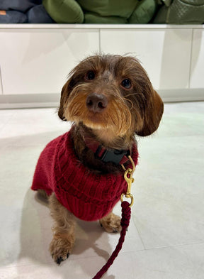 Pilor de la baronne royale