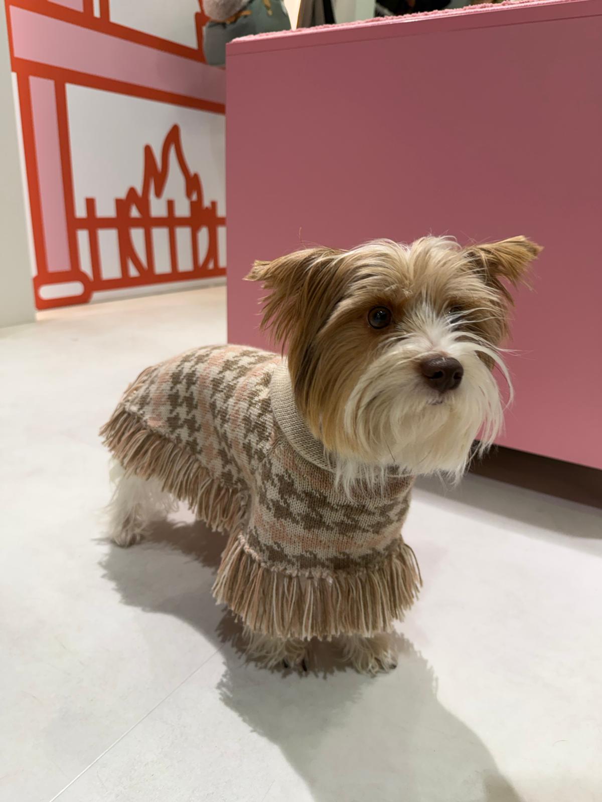 Sweetheart's Pull-Poncho