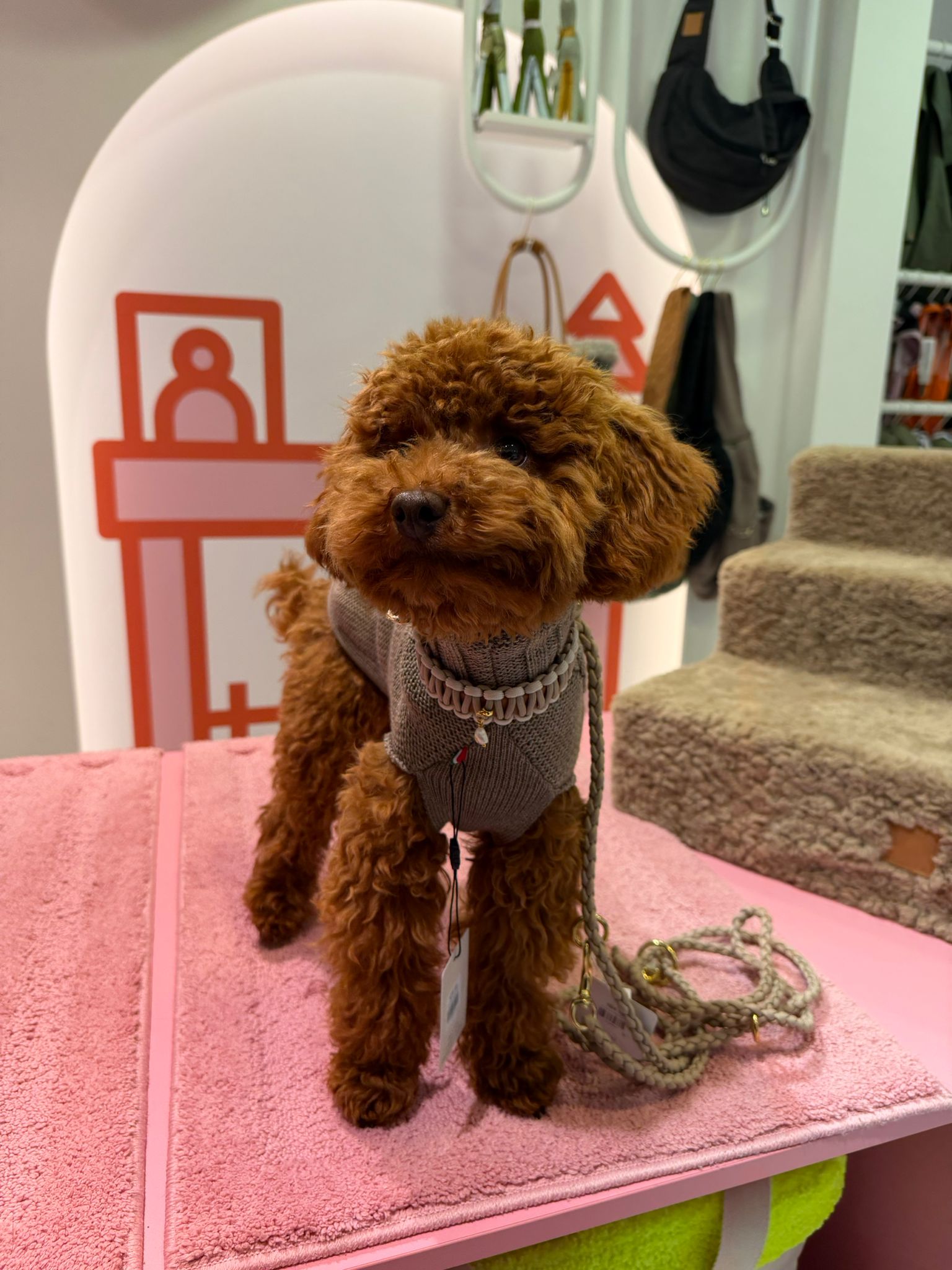 Riviera Collection - Antibes halsband