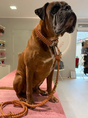 Riviera Collection - Camogli leiband