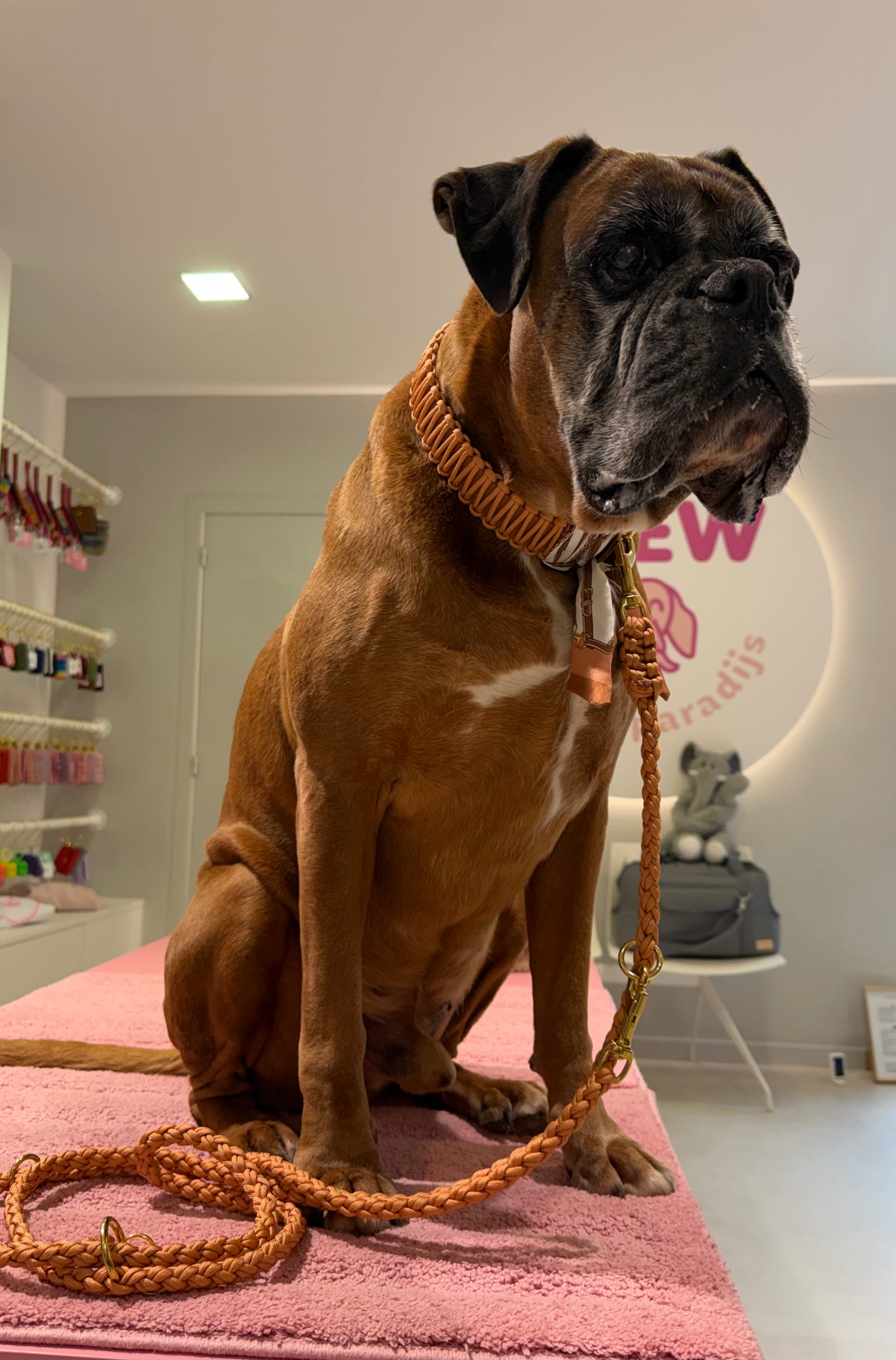 Riviera Collection - Camogli leiband