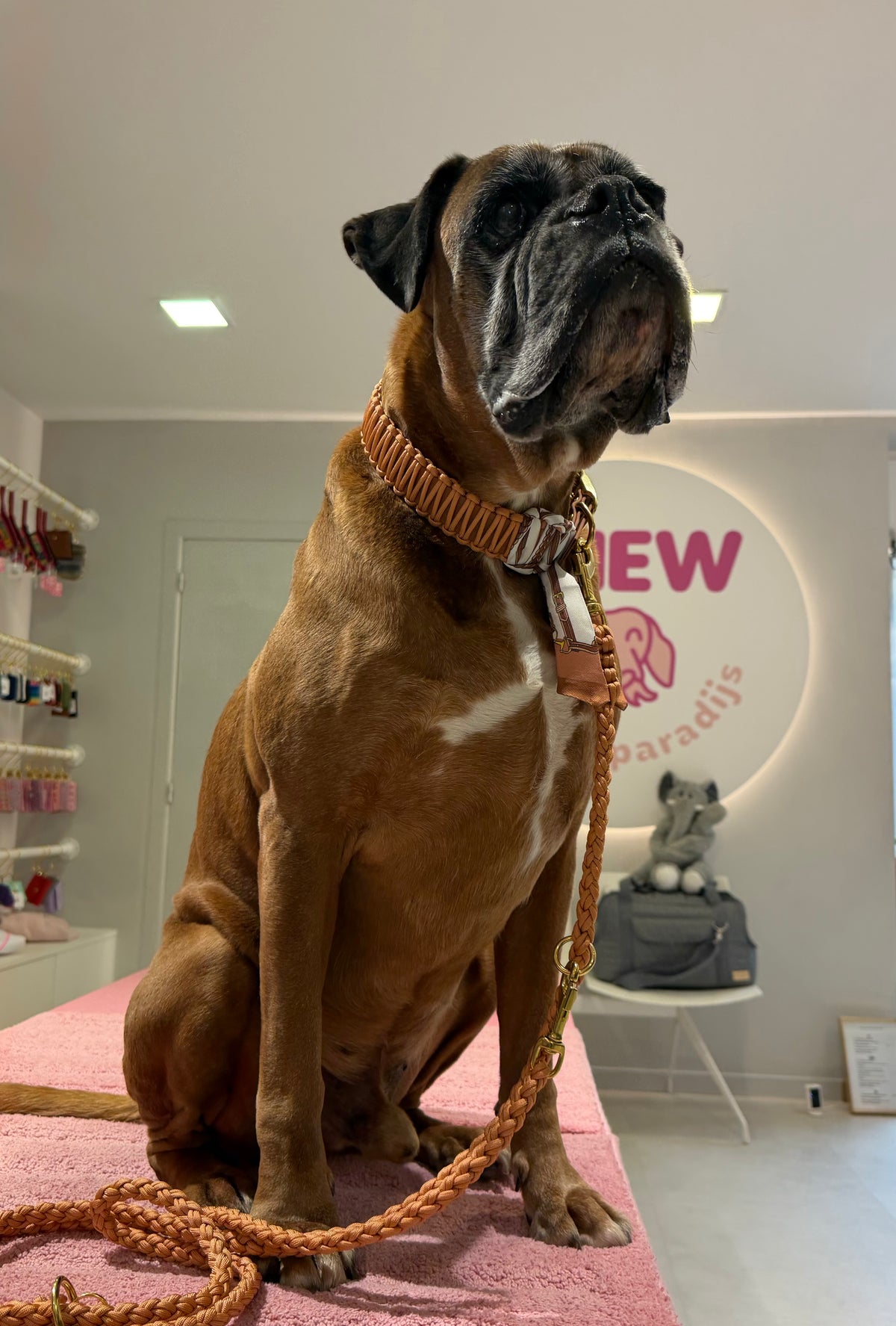 Riviera Collection - Camogli leiband