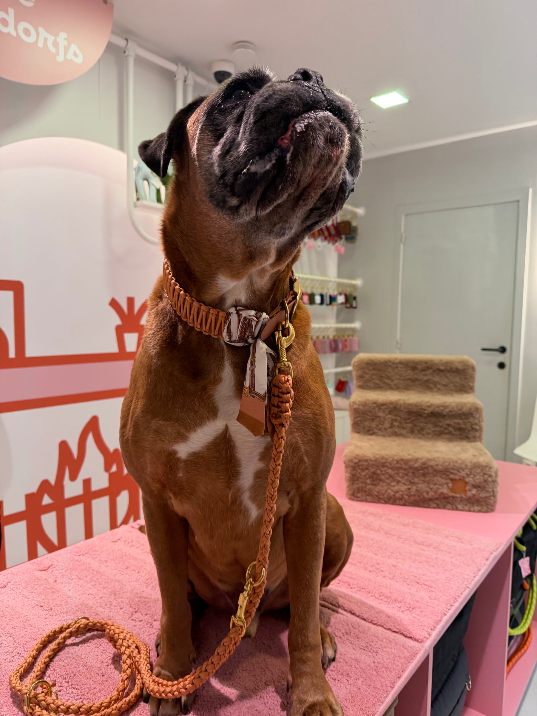 Riviera Collection - Camogli leiband