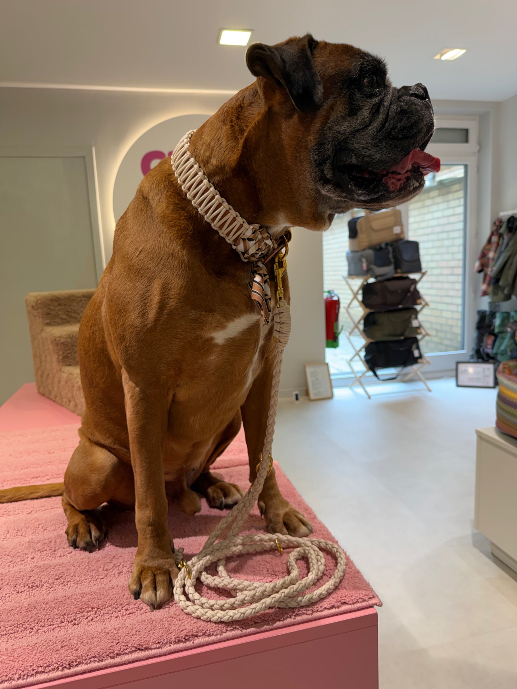 Riviera collection - Lilly Cinque Terre halsband