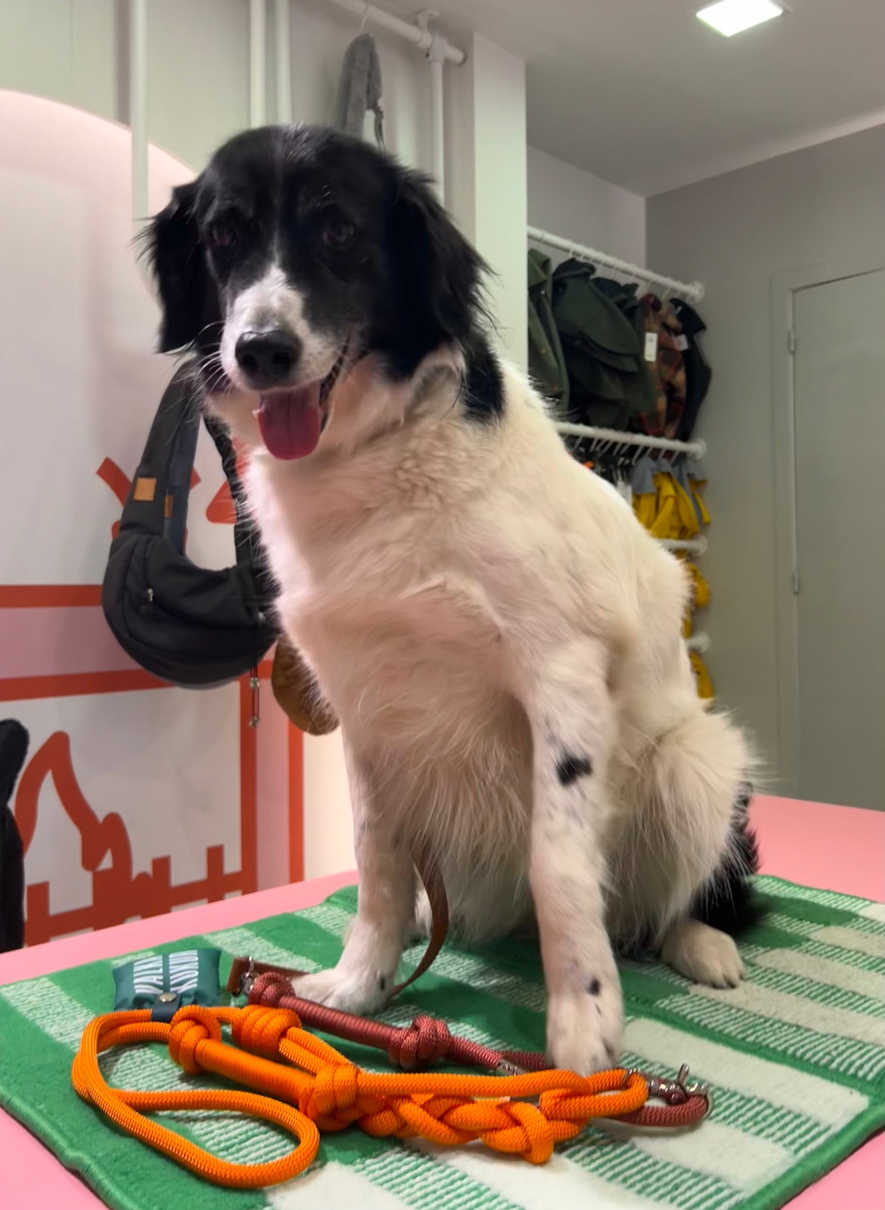 Riviera Collection - Portofino