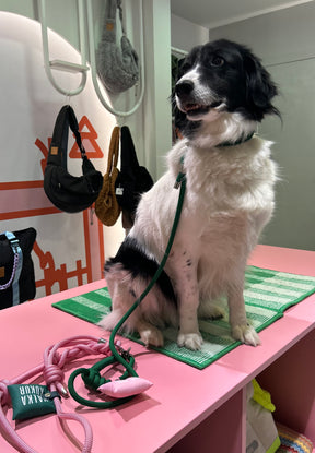 Riviera Collection - Positano