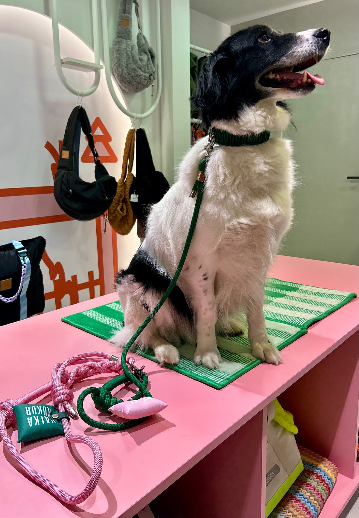 Riviera Collection - Positano