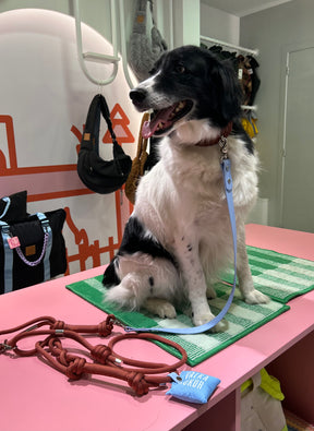 Riviera Collection - Viareggio