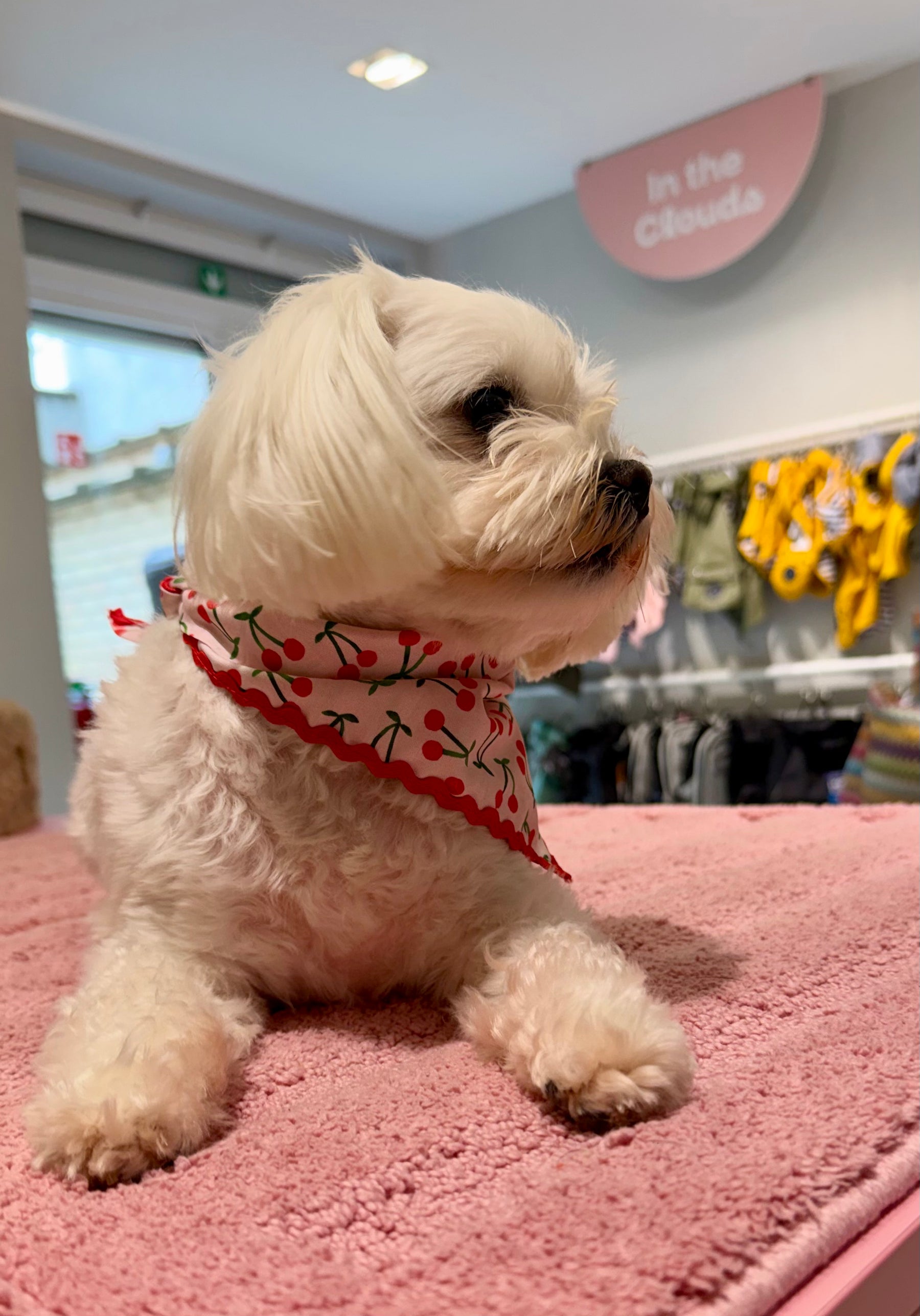 Bandana cerise
