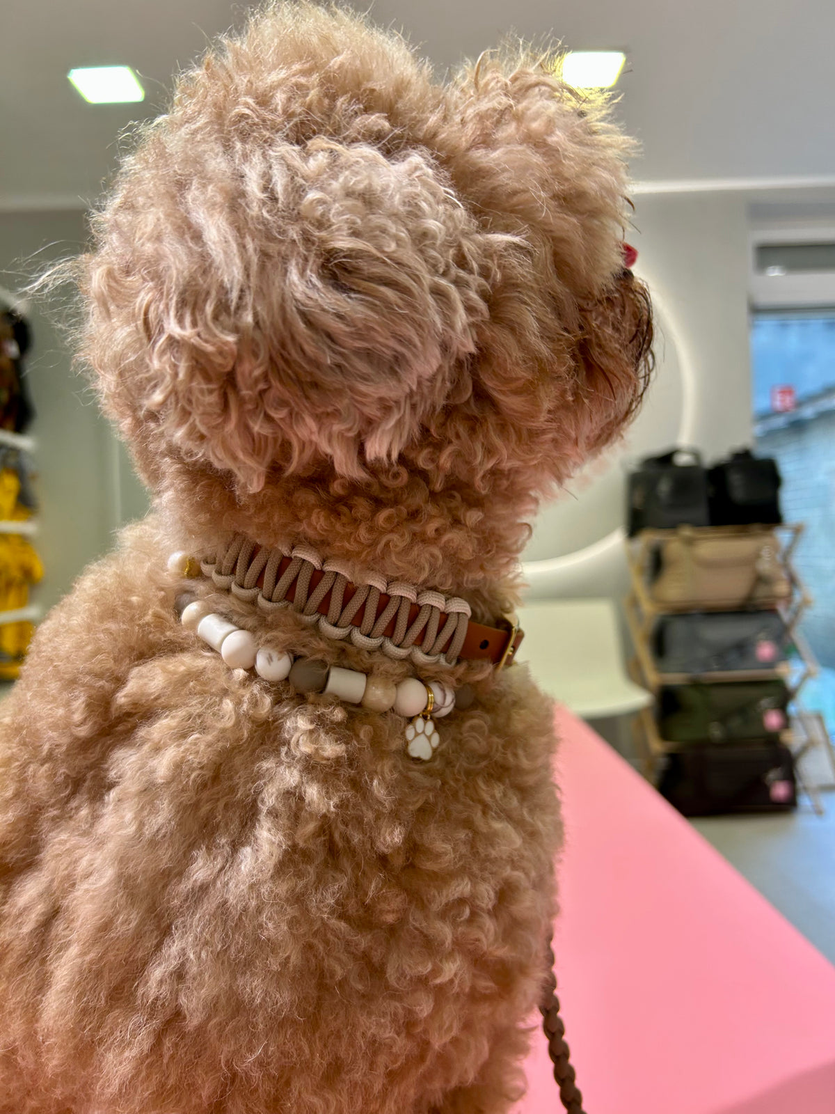 Riviera Collection - Antibes tekenband