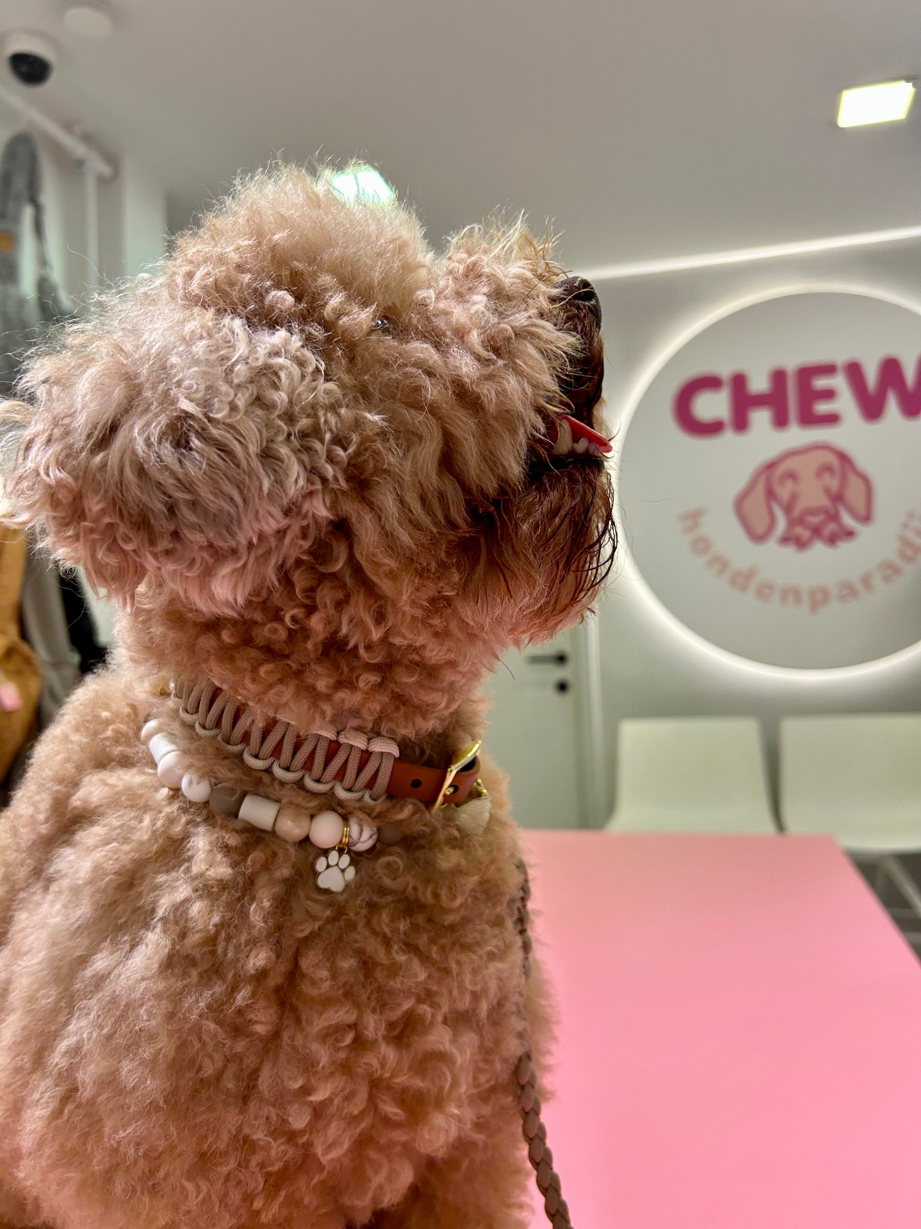 Riviera Collection - Antibes halsband