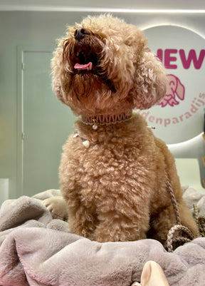 Riviera Collection - Antibes halsband