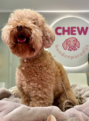 Riviera Collection - Antibes halsband