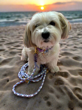 Collection de fleurs - collier de l'île violette